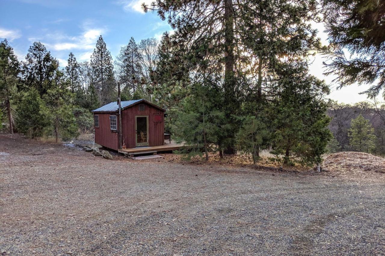 Creekside Cabin 8 Mi To Kings Canyon National Park Miramonte Zewnętrze zdjęcie